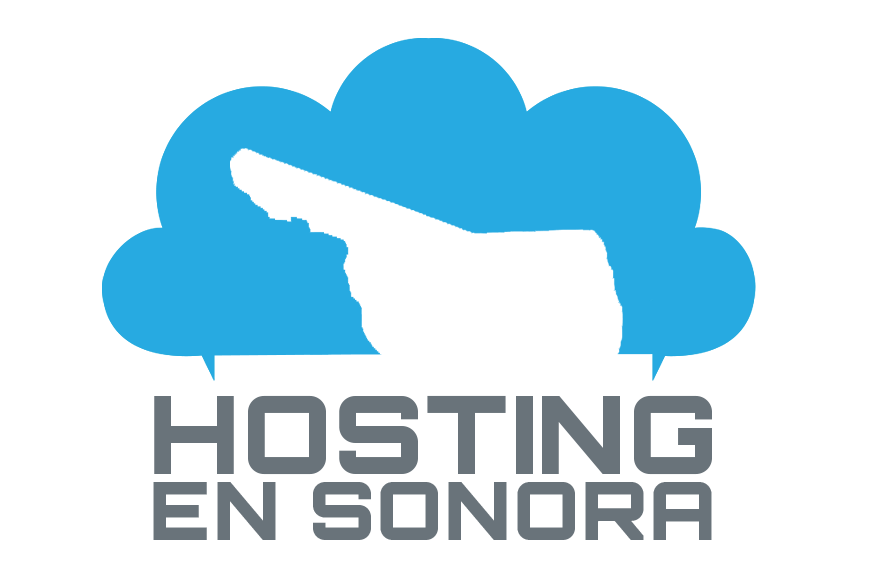 Hosting y Diseño web en Hermosillo, Sonora y SEO